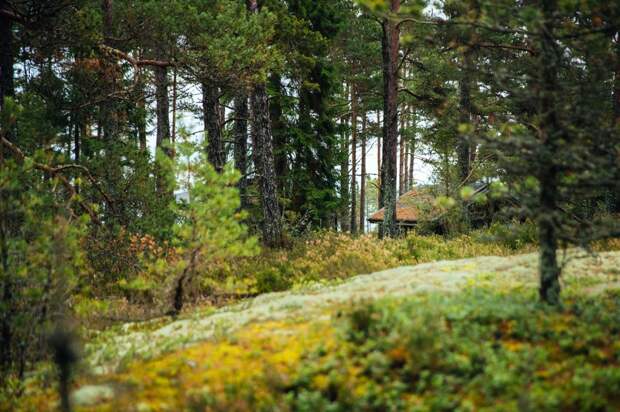 В Финляндии открывают остров для феминисток