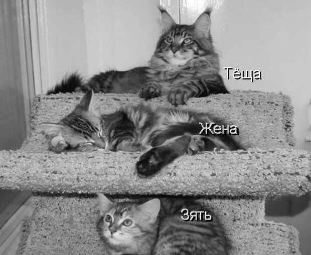 Возможно все)))