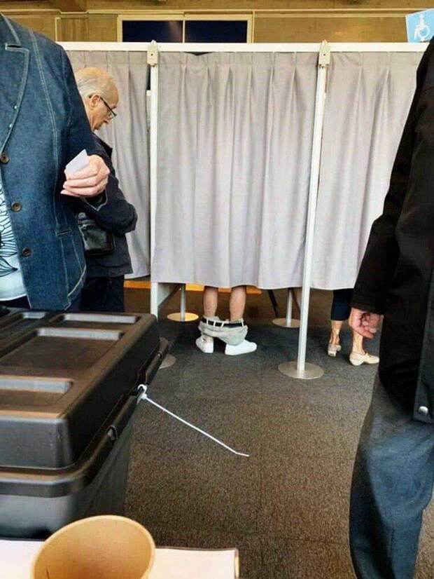 Подборка прикольных картинок