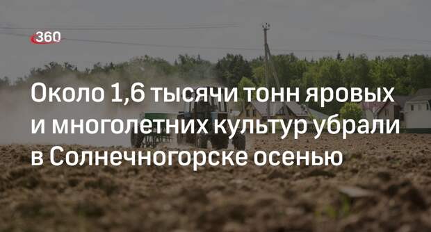 Около 1,6 тысячи тонн яровых и многолетних культур убрали в Солнечногорске осенью