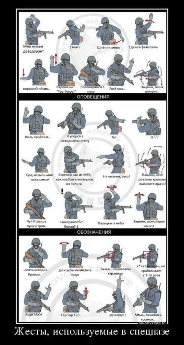 Язык жестов спецназа в картинках руками