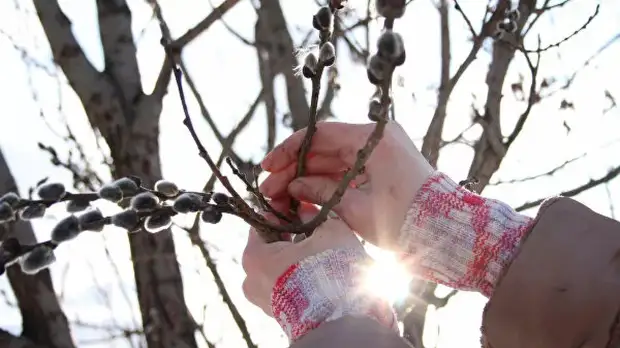 Синоптики рассказали о возвращении аномального тепла в Челябинскую область