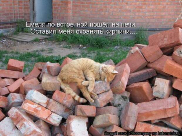 Котоматрицы(картинки с надписями)