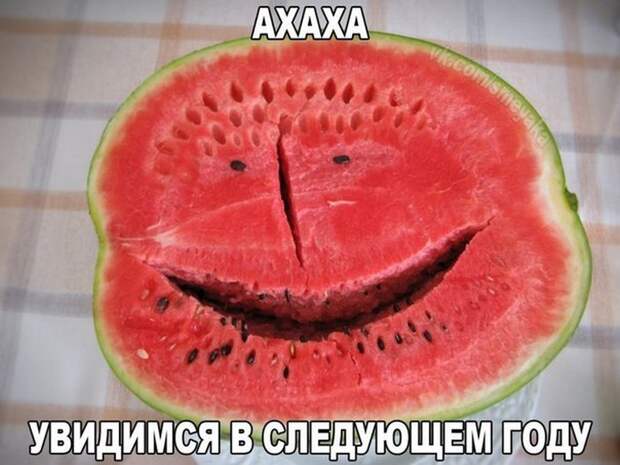 Прикольные картинки 24.08.17