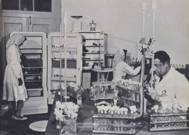Афганистан 1950-60-е годы. Афганистан 1950-60-е годы.