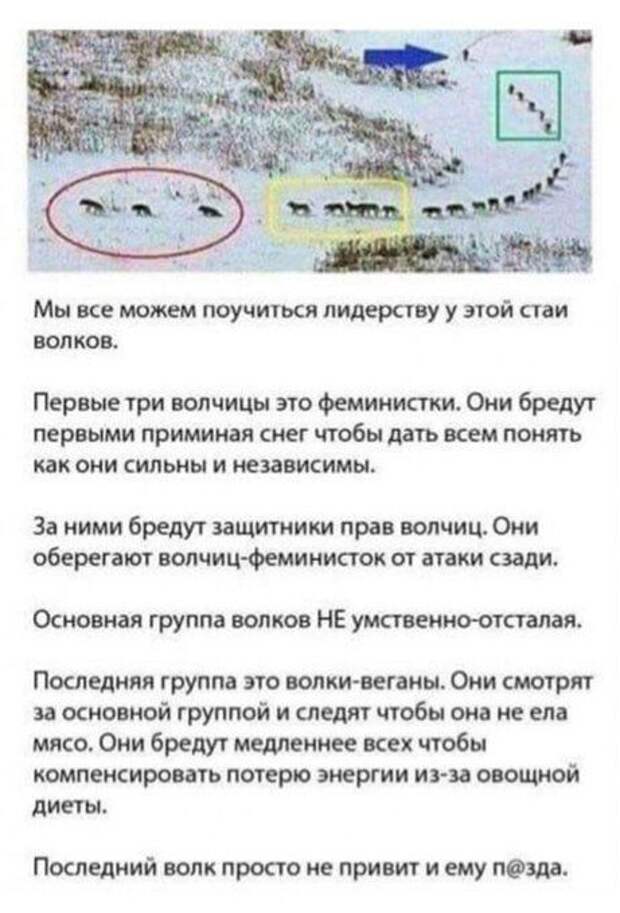 5-4.jpg