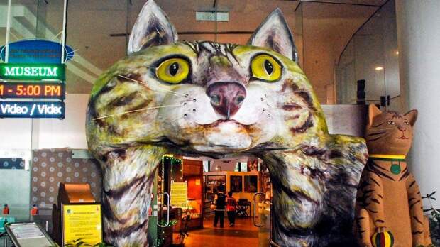 В Музее кошек в Северном Кучинге сделана попытка отследить 5 тысяч лет отношений кошки и человека