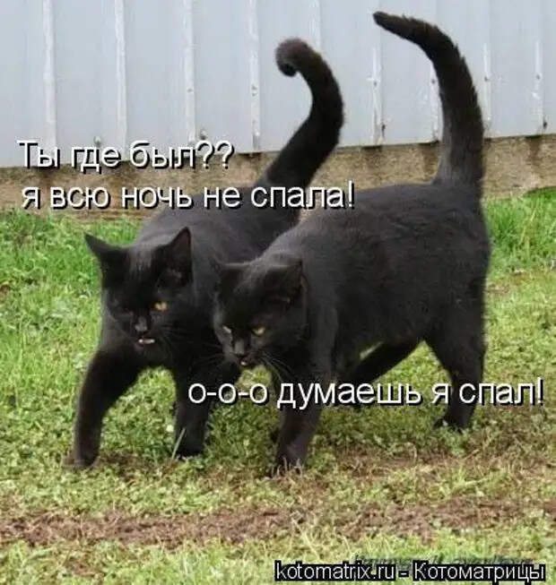 Ночь. В постели муж с женой. Жена к мужу и так мостится, и этак…