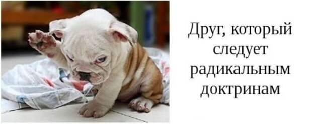 Такие друзья, есть у каждого из вас.