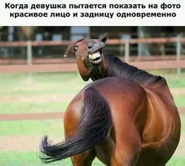 Количество разума на планете - величина постоянная. А население растет Петька, Василий, Иваныч, такие, минут, квартиру, дверь, машину, думают, болит, дверьто, открывается, майор, откроется, через, просто, соседи, только, человек, глаза