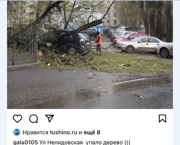 На Штурвальной дерево упало на машину