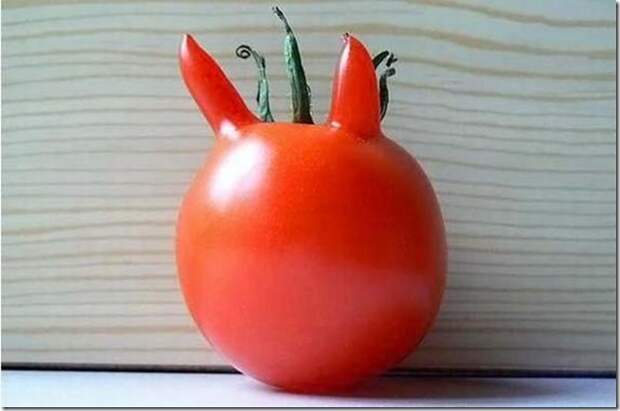 unusual-fruit-and-vegetables09