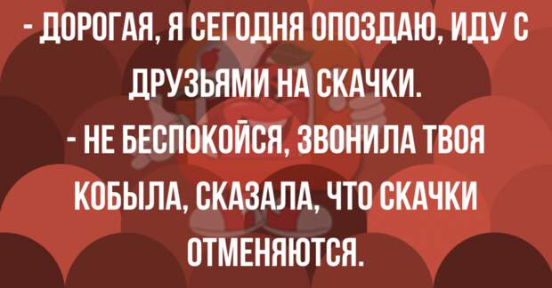 Анекдоты от которых смешно