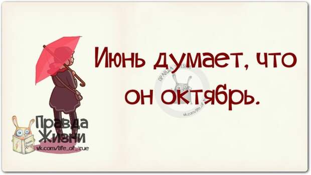 Прикольные фразочки в картинках