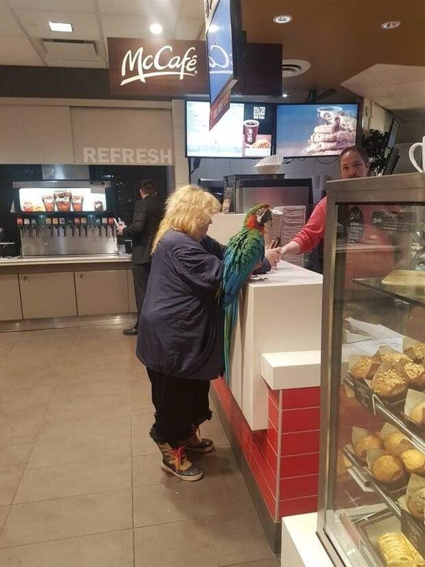 15 случаев, когда оригинальность вышла за рамки приличного 15 случаев, когда оригинальность вышла за рамки приличного