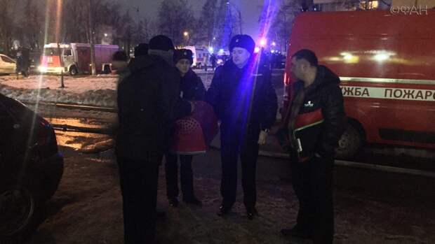 Пожарные спасли кошку из петербургского дома, в котором прогремел взрыв