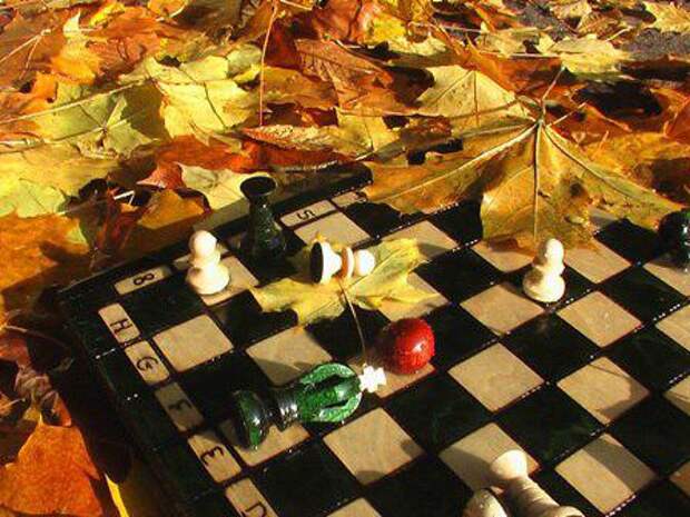 Шахматы. Фото: pixabay.com
