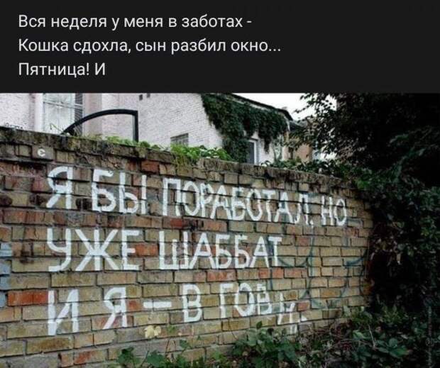 Стишки из социальных сетей