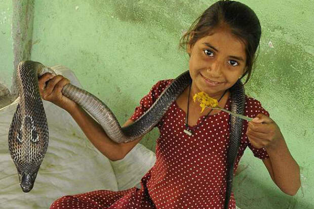 Девочка в Индии живет со змеями
