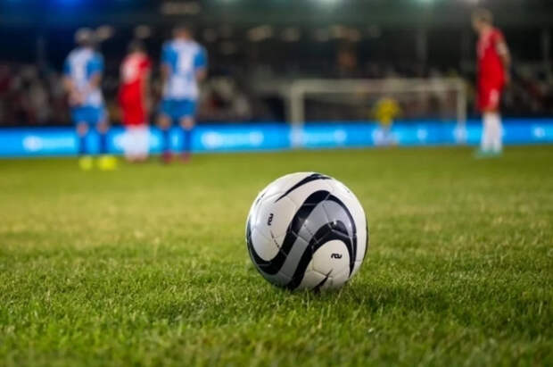 Свыше 170 тысяч жителей Нидерландов призвали к бойкоту ЧМ по футболу