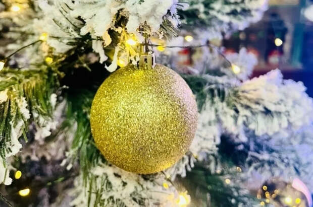 В Твери девушка подожгла новогоднюю елку на площади