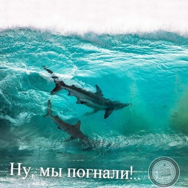 Ну, мы погнали