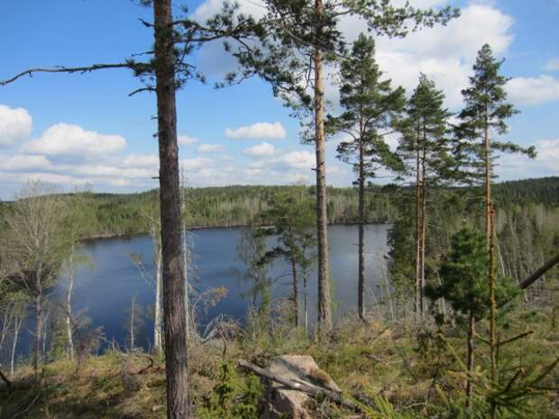 image sweden-fishing-0069-jpg