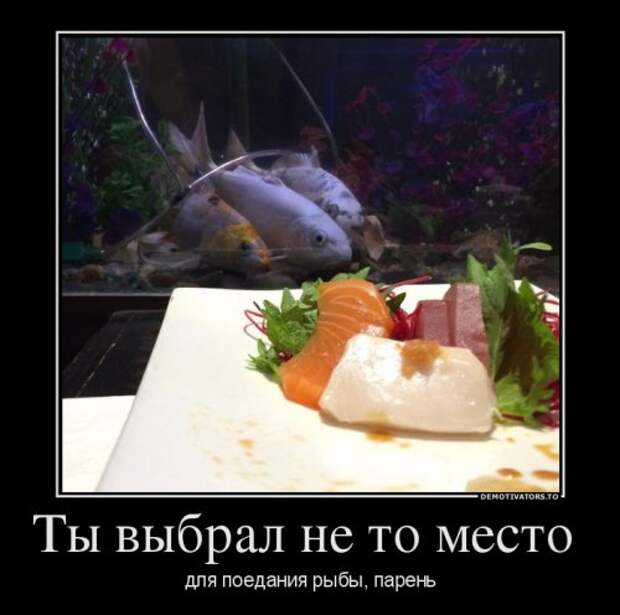 Прикольные демотиваторы (27 шт)