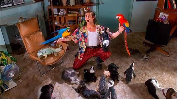 8 самых смешных и обязательных фильмов, где играл Джим Керри