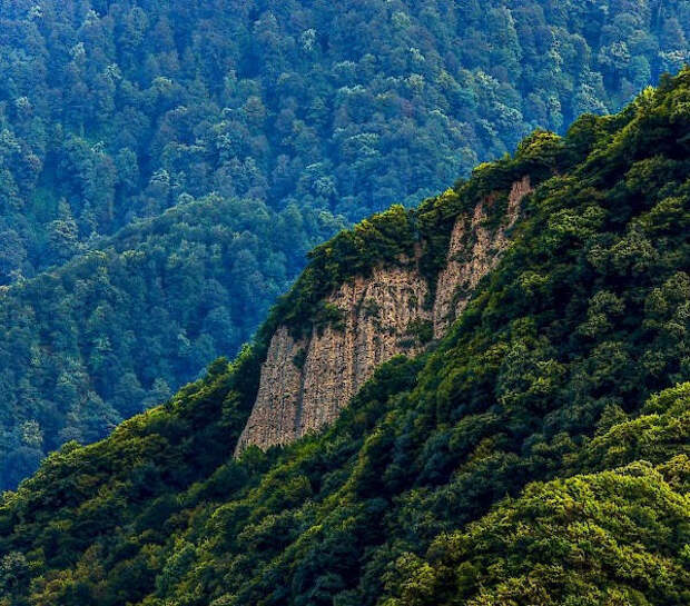Леса Талышских гор это огромные территории, где никогда не ступала нога человека