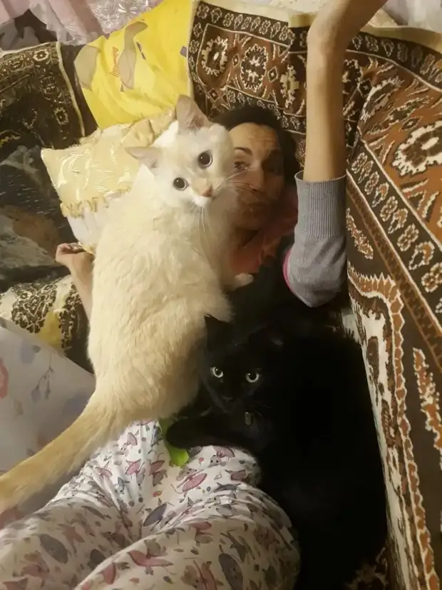 Питомцы, которые не знают границ когда, нравится, просто, смотрю, через, моюсь»«Это, просыпаюсь, достаточно, чтобы, занять, Иногда, стул»Когда, контролирует, питомцы, понятие, личных, границ, перестаёт, живут, огромны«Это