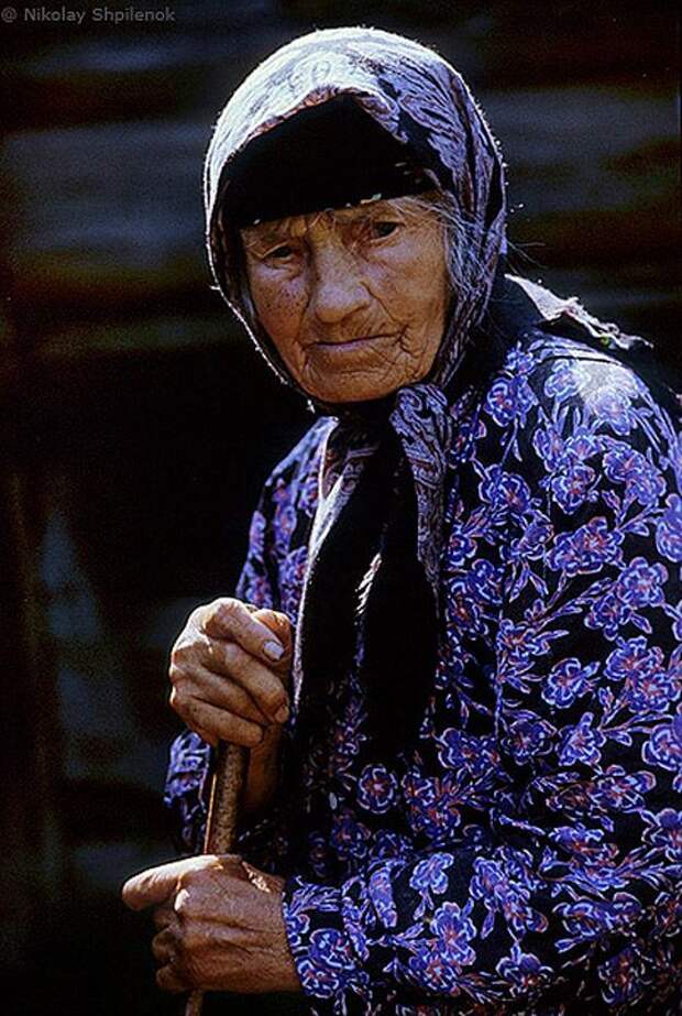 В затерянном мире