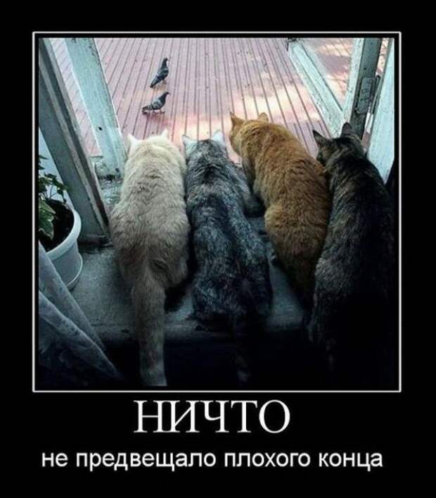 Подборка классных демотиваторов № 60