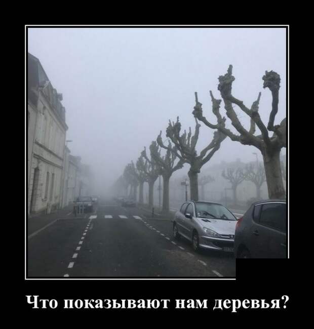 Демотиваторы (30 фото)