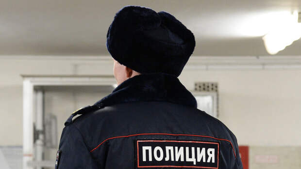 Полицейские задержали мужчину, избившего двух человек в вагоне метро в Москве