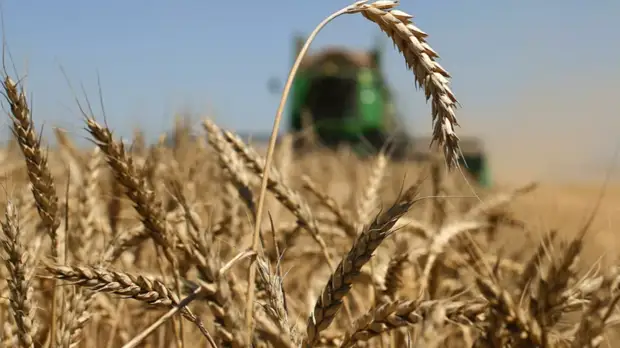 Головченко обсудил с Мишустиным поставку Белоруссии продовольствия критического импорта