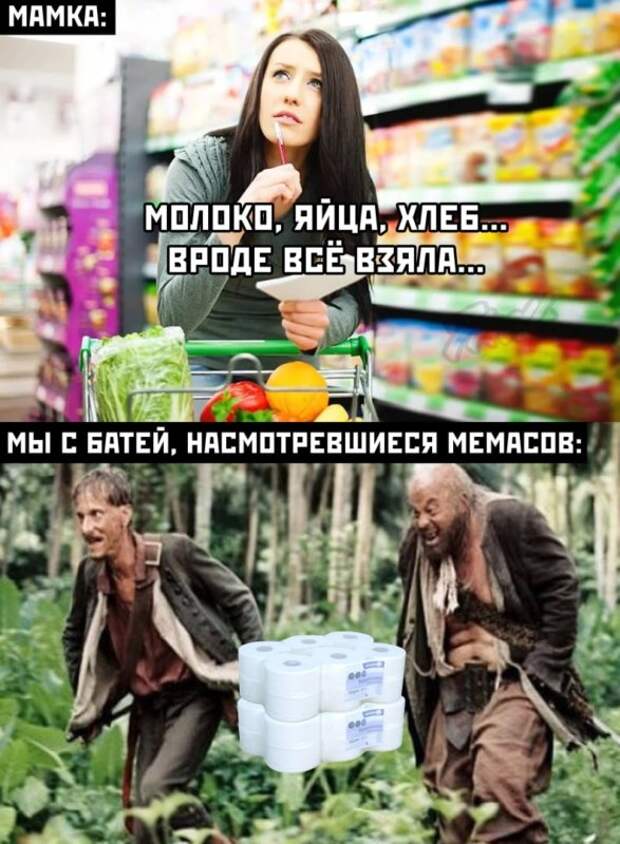 мемы про туалетную бумагу