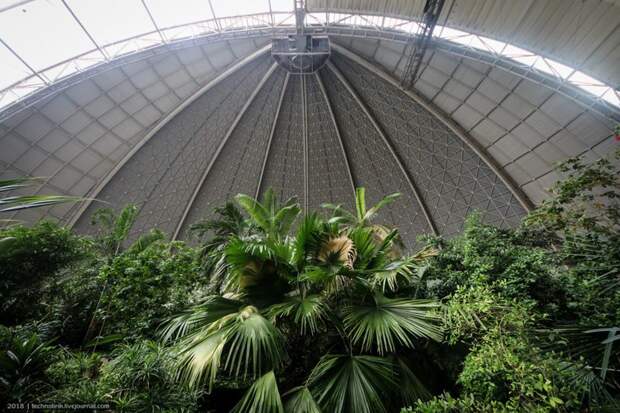 Tropical Islands - искусственный рай путешествия, факты, фото