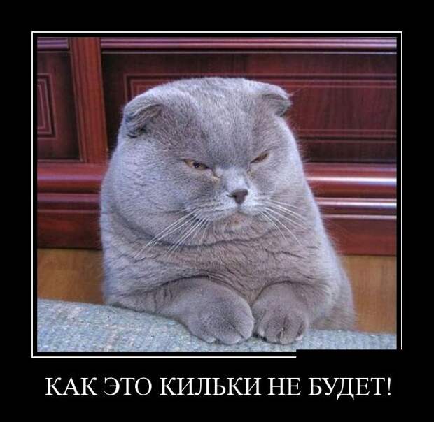 Сборник демотивационных приколов Сборник демотивационных приколов