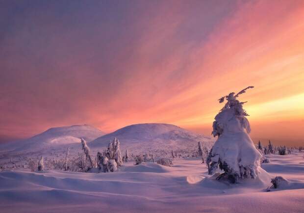 https://photo-monster.ru/content/books/572/16.jpg