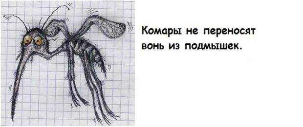 Интересные факты обо всем на свете Интересные факты обо всем на свете
