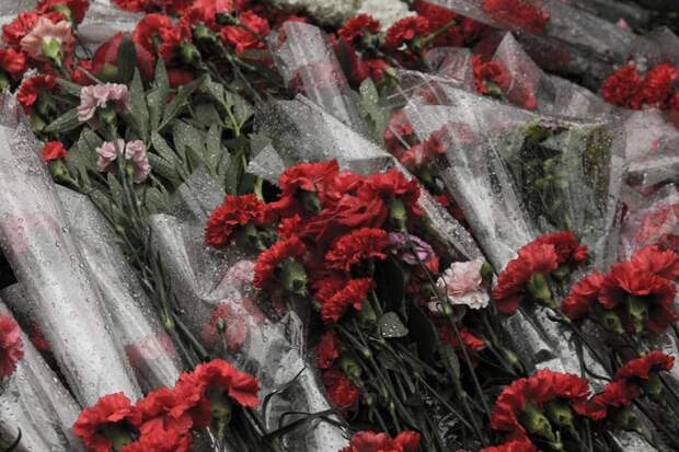 Мемориальную доску в честь российского дипломата установят на Петрозаводской