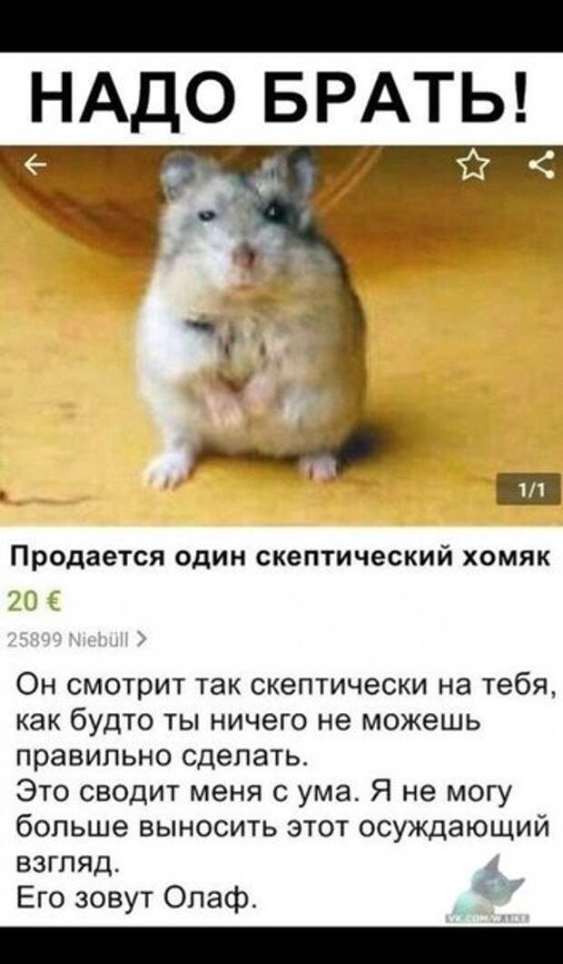 картиночки тут