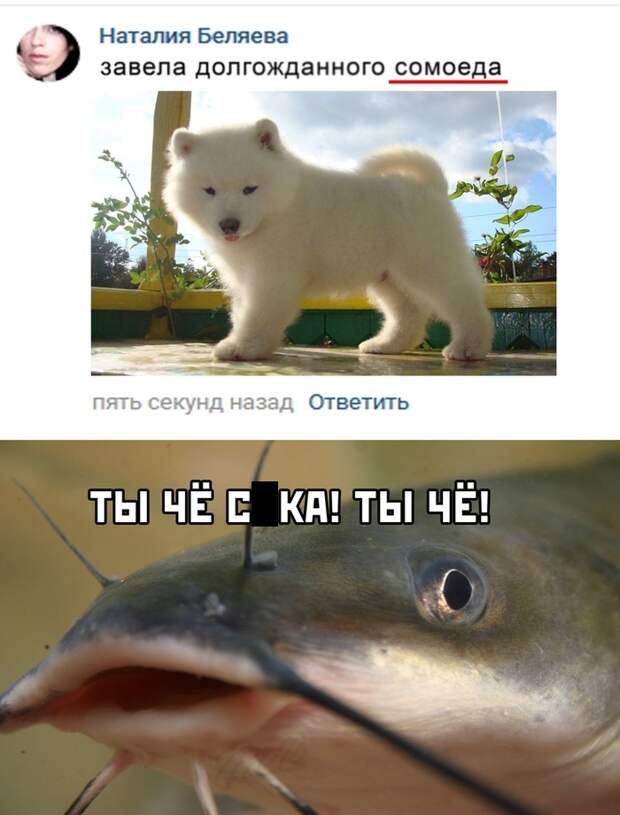 www.vsyako.net