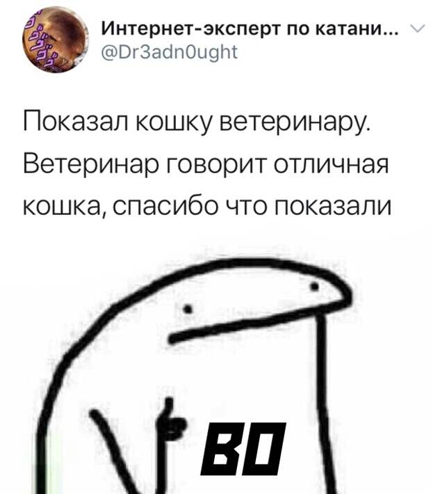 Смешные картинки вечер 13 августа 2020