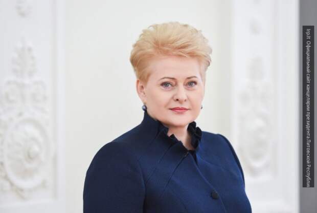 Яровая резко осадила президента Литвы за высказывания о России