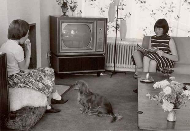 Домашних животных в советских семьях было меньше