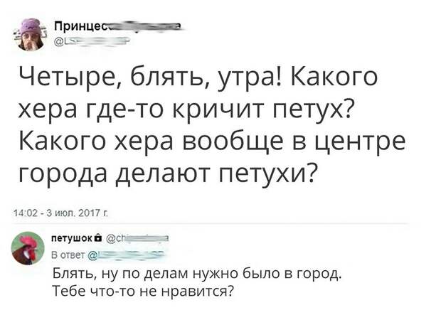 Смешные комментарии из социальных сетей