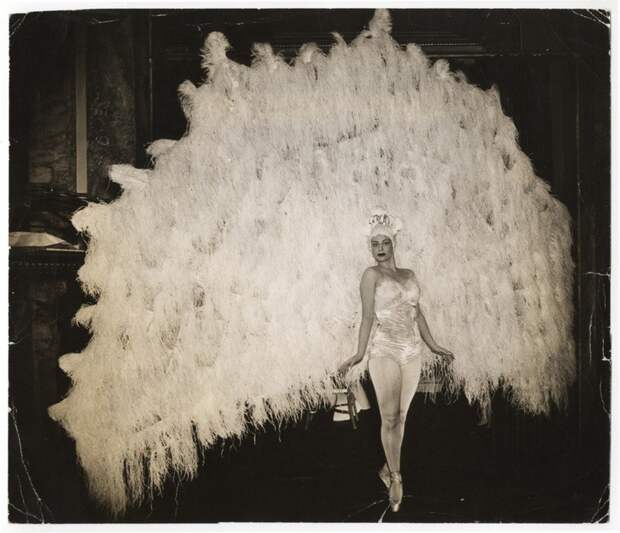 На балу в фешенебельной гостинице «Уолдорф-Астория» балерина Марина Франка в костюме павлина, Манхэттен, Нью-Йорк. виджи, история, фотография