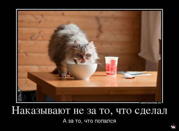Демотиваторы и мотиваторы. Демки суббота